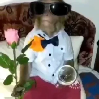 😎
