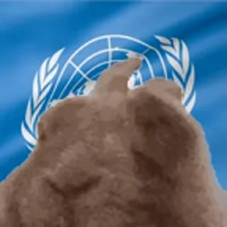 🇺🇳