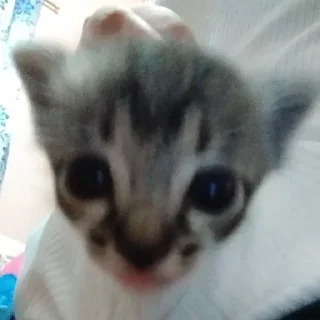 😐