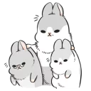 🐰