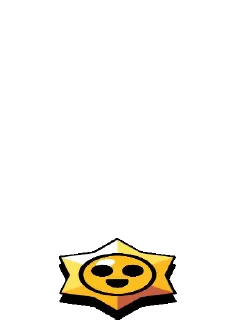 ✨