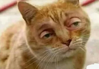 😐