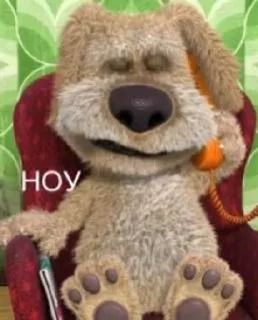 🐶