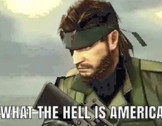 🇺🇸