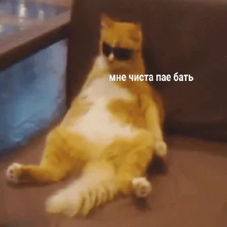 😏