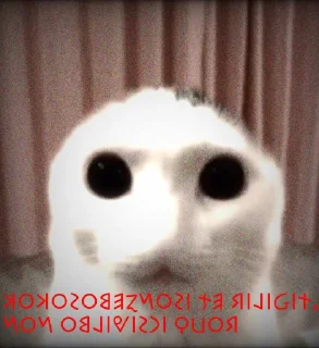 ☃️