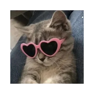 😎