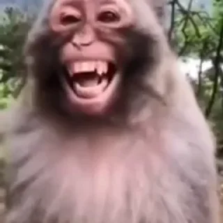 😂
