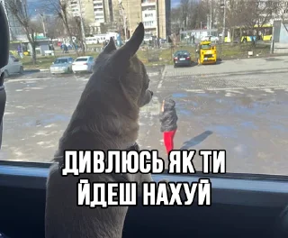 🏃‍♂️