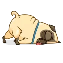 🛌