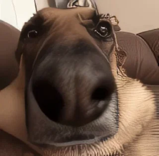 😶