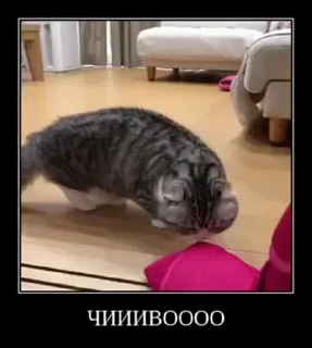 🤯
