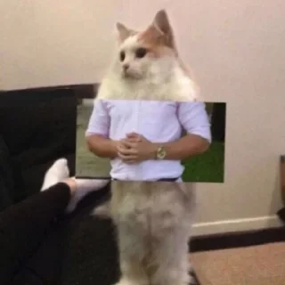 😌