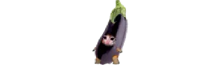 🍆