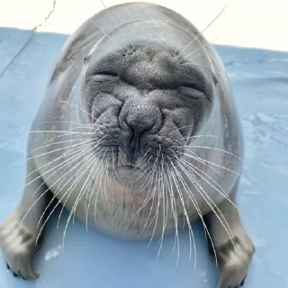 😠