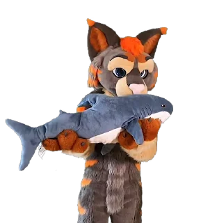🦈