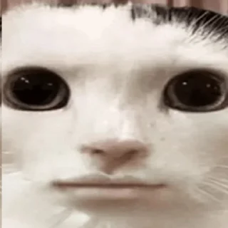 ➡️