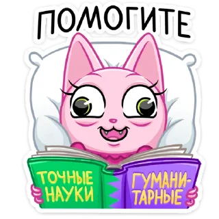 📚