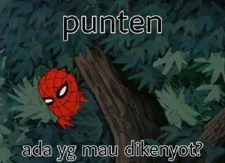 🕸