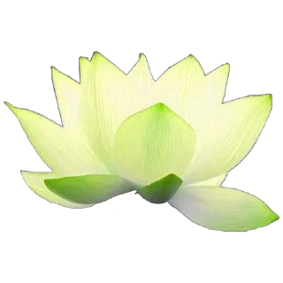 🌱