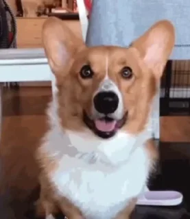 🥰