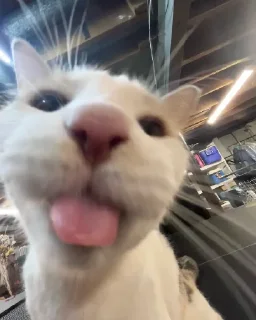 😛