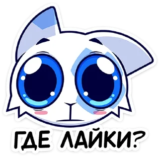 🐱