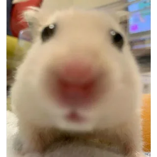 😶
