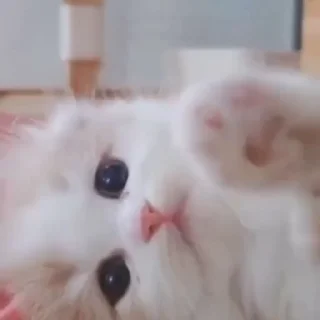 😊