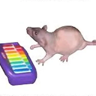 🎹