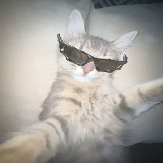 😎