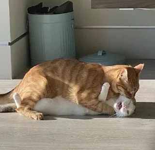 💕