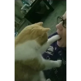 🐟