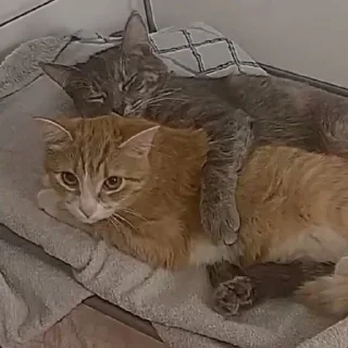 🤗