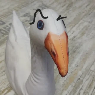 🤨