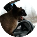🚘