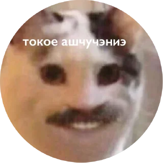 ⚪️