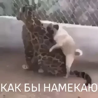 🥰