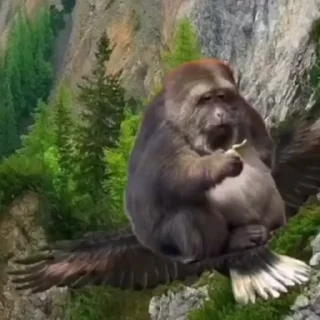 🤩