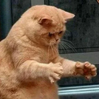 😺