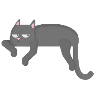🐱