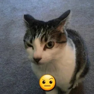 😕