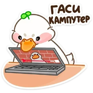 💻