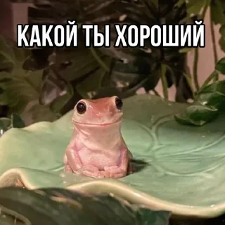🥰
