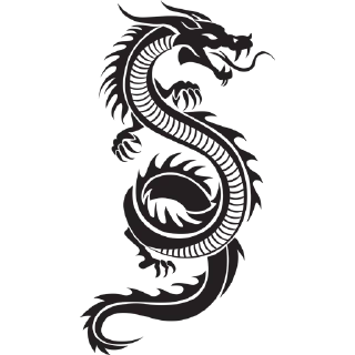 🐲