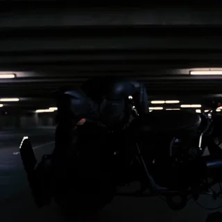 🦇