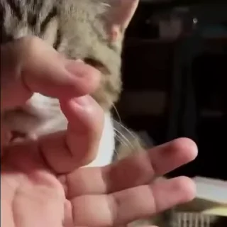 😋