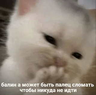 🙂