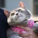 ☺️