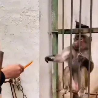 😡